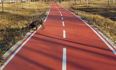 公園健身步道